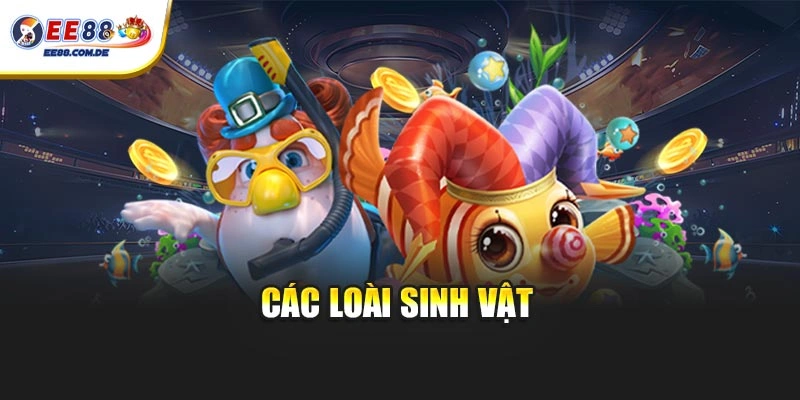 Bắn cá xèng xuất hiện nhiều loại sinh vật biển khác nhau