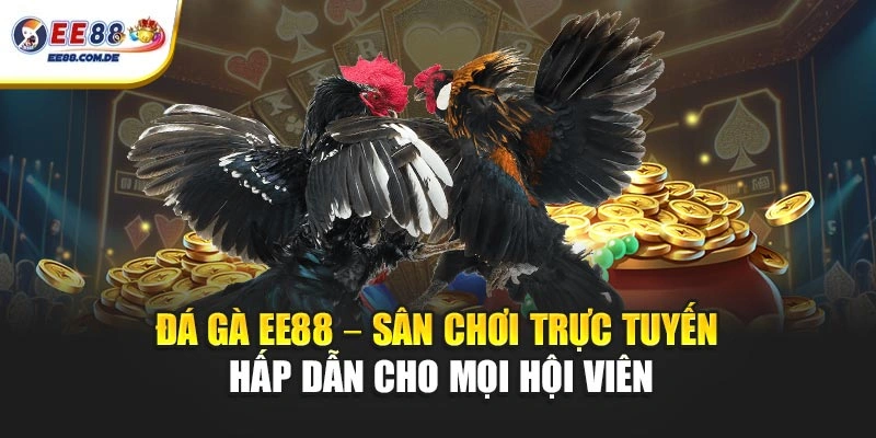 Chuyên mục đá gà EE88 phù hợp với nhiều đối tượng