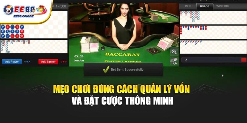 Mẹo chơi đúng cách quản lý vốn và đặt cược thông minh