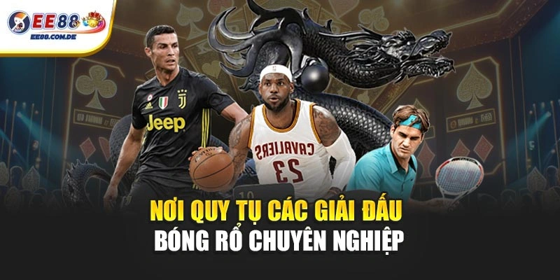 Sảnh thể thao EE88 quy tụ các giải bóng rổ nổi bật Sảnh thể thao EE88 quy tụ các giải bóng rổ nổi bật