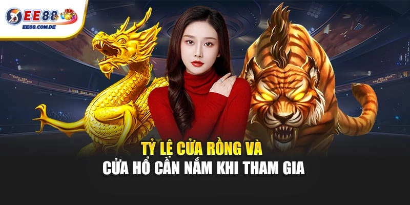 Tỷ lệ cửa Rồng và cửa Hổ cần nắm khi tham gia Tỷ lệ cửa Rồng và cửa Hổ cần nắm khi tham gia